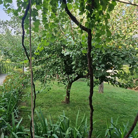 With Parking Space Lopar, Rab - 24754 Appartamento Lopar